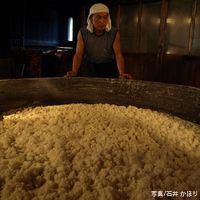 奥能登揚げ浜塩 100g